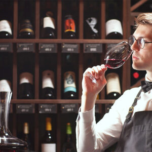 Sumiller de vinos y cerveza