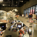 Parque de las ciencias